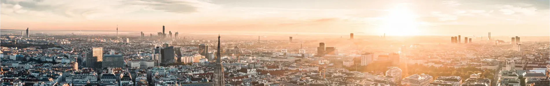 Vienna City