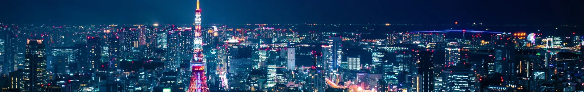Tokyo City