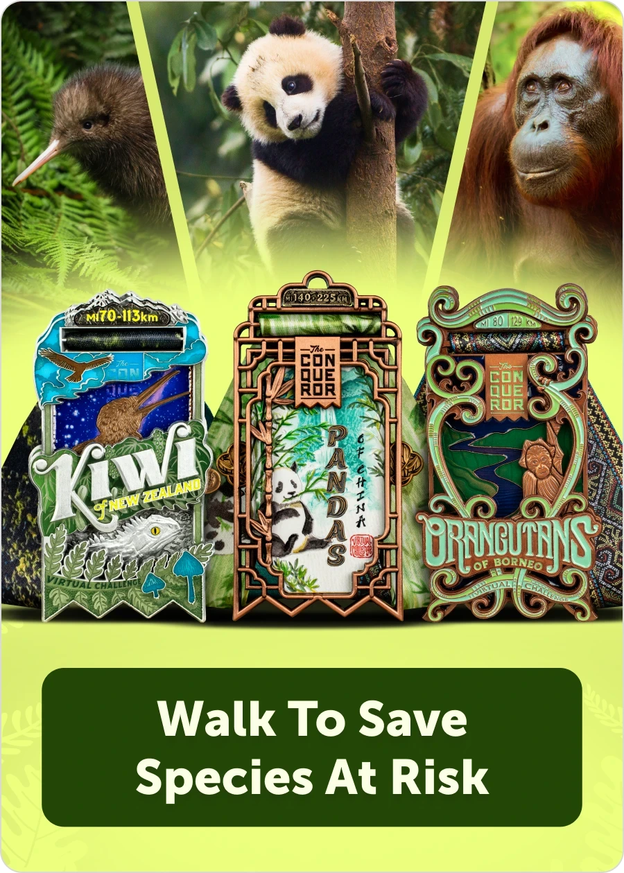 Explore Animal Conservation 2nd Edition