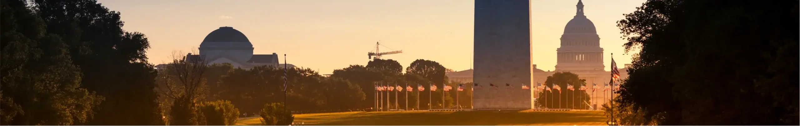 Washington DC City