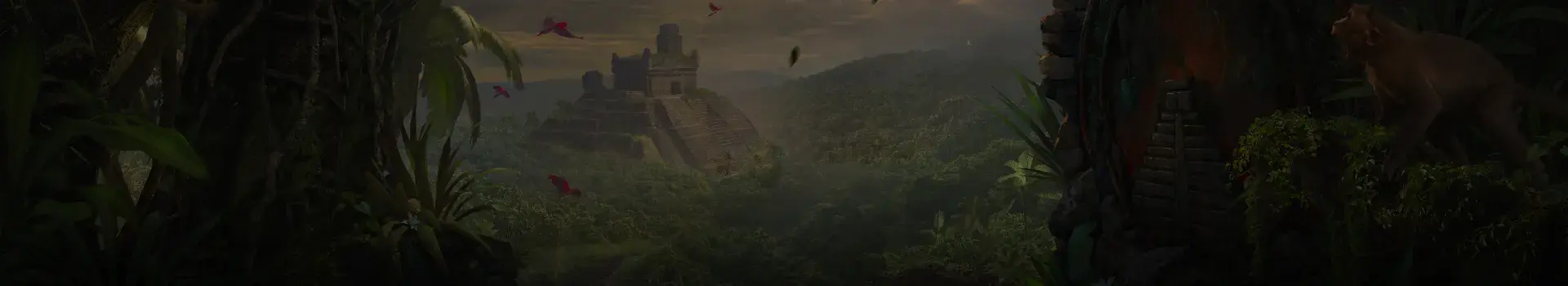 Hero Background Image
