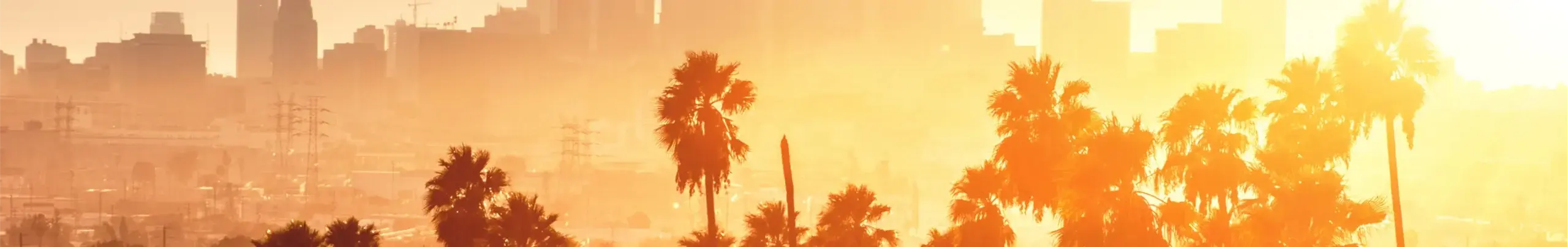Los Angeles City